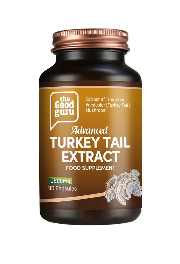 Turkey Tail Mushroom Extract