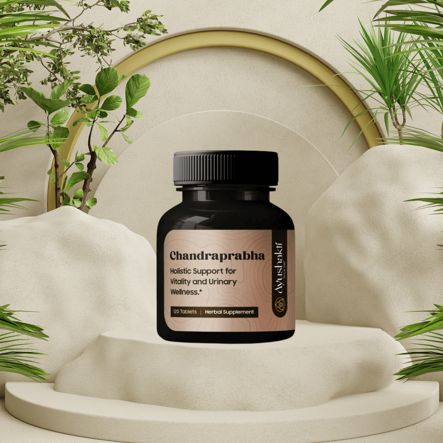 Ayushakti Chandraprabha Vati 120 Tablets - Balancing All 3 Doshas - Ayurvedic Nature Care