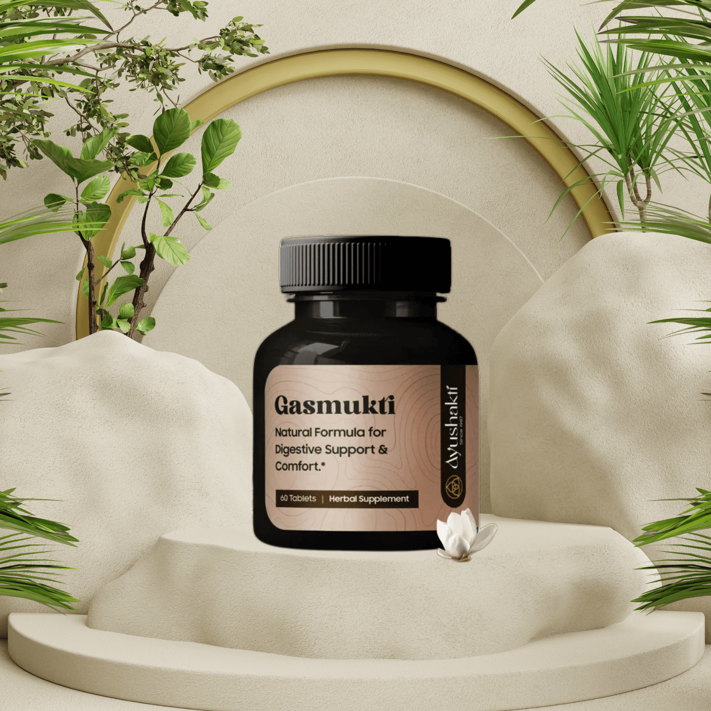 Ayushakti Gas Mukti 60 tablets - Promotes Digestion and Relieves Gas - Ayurvedic Nature Care