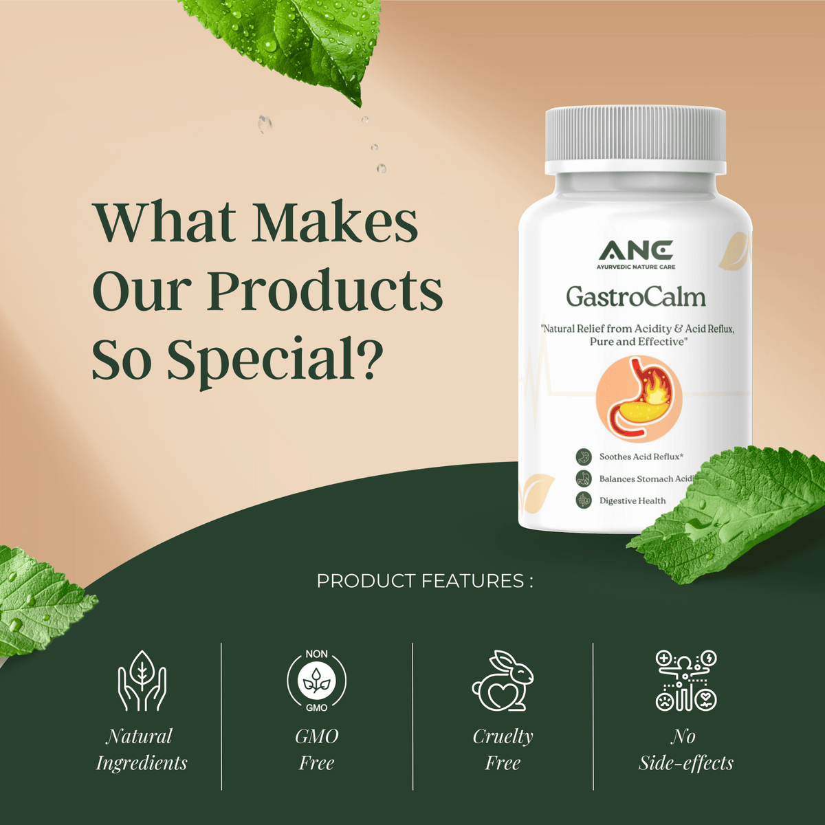 GastroCalm (Pitta Sarak) Capsules - Natural Herbal Solution for Acidity Reliever and Acid Reflux - Ayurvedic Nature Care