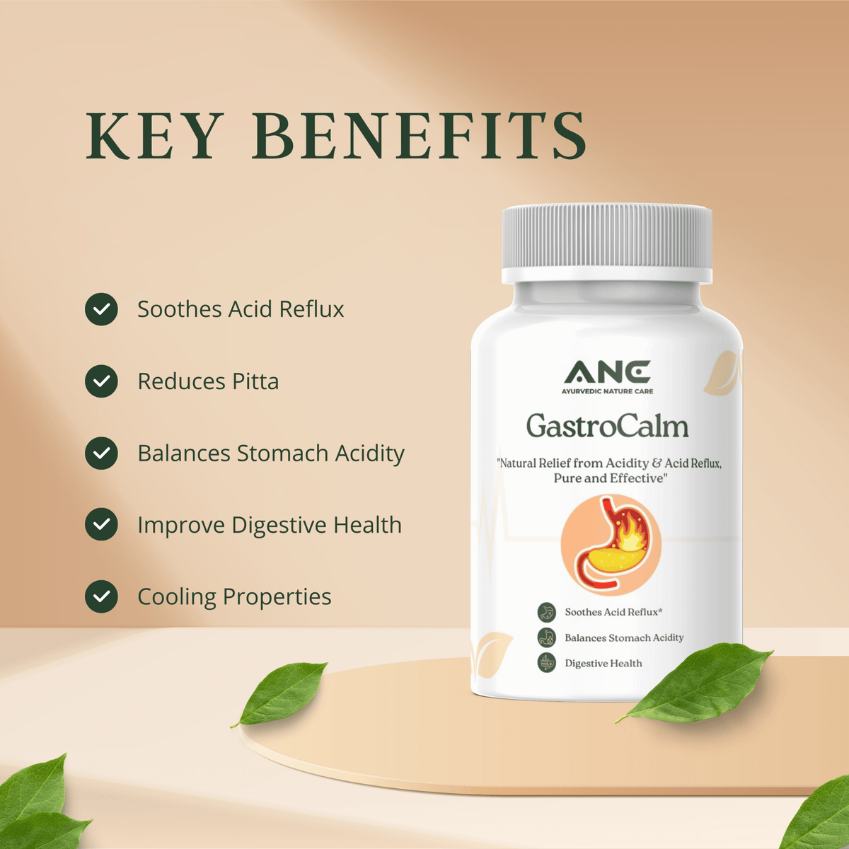 GastroCalm (Pitta Sarak) Capsules - Natural Herbal Solution for Acidity Reliever and Acid Reflux - Ayurvedic Nature Care