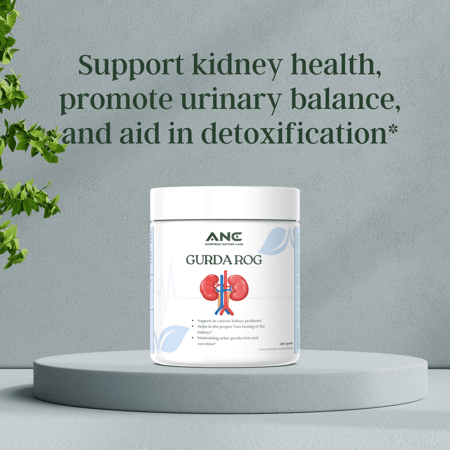 Gurda Rog Capsules/Powder - Optimize Kidney Function & Urinary Health Naturally (Kidney Care) - Ayurvedic Nature Care