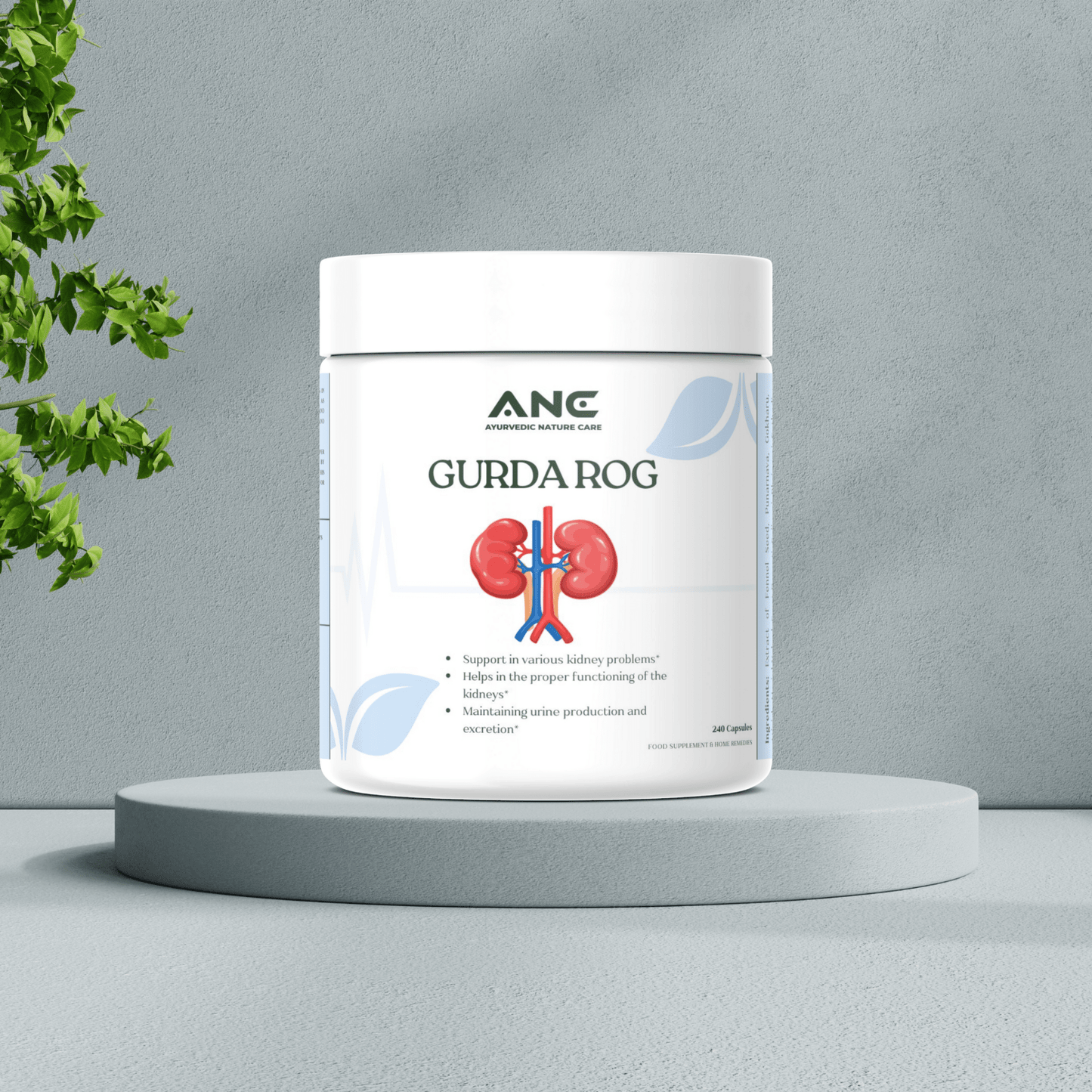 Gurda Rog Capsules/Powder - Optimize Kidney Function & Urinary Health Naturally (Kidney Care) - Ayurvedic Nature Care