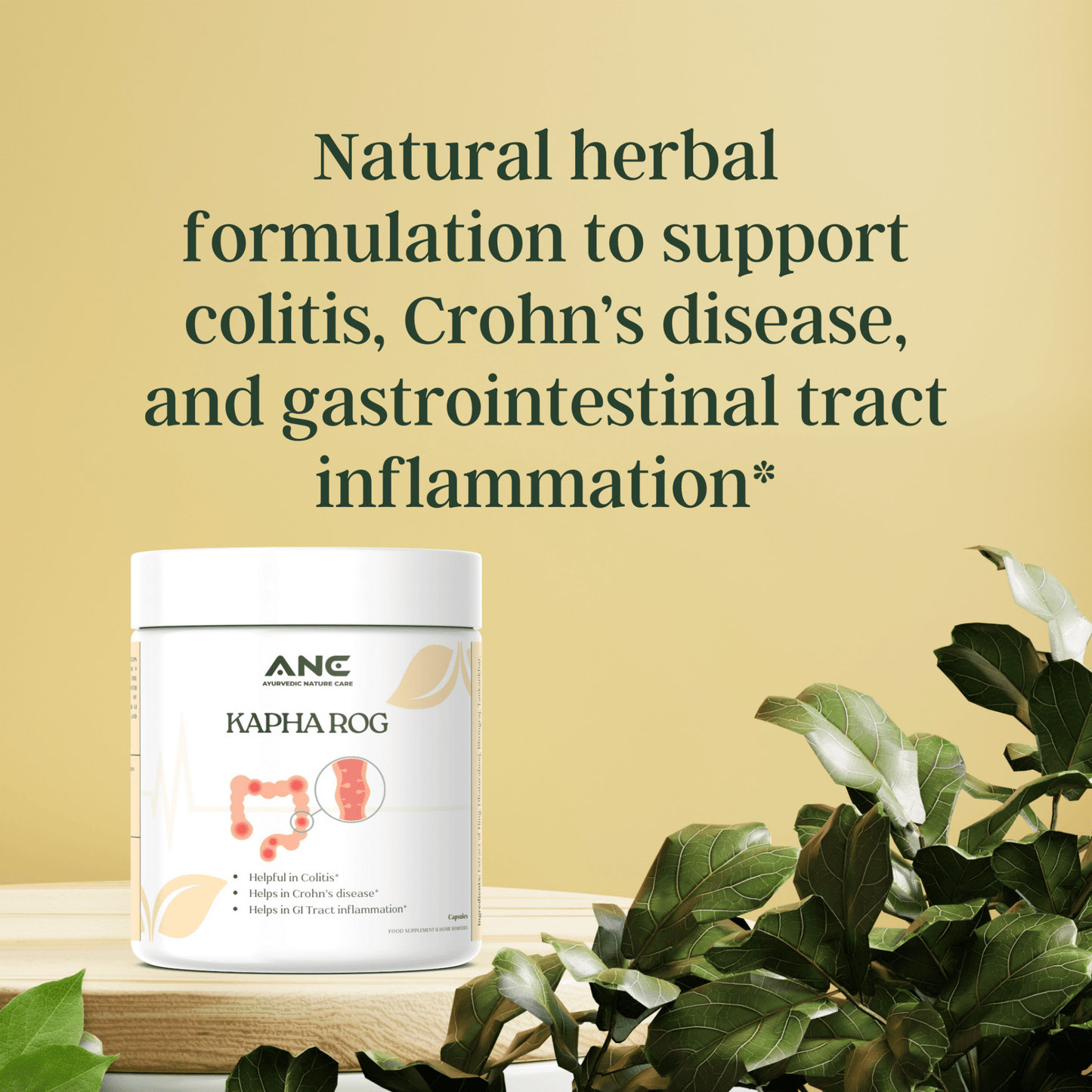 Kapha Rog Capsules/Powder - Ayurvedic Support for Digestive Wellness (Helpful to treats Colitis) - Ayurvedic Nature Care