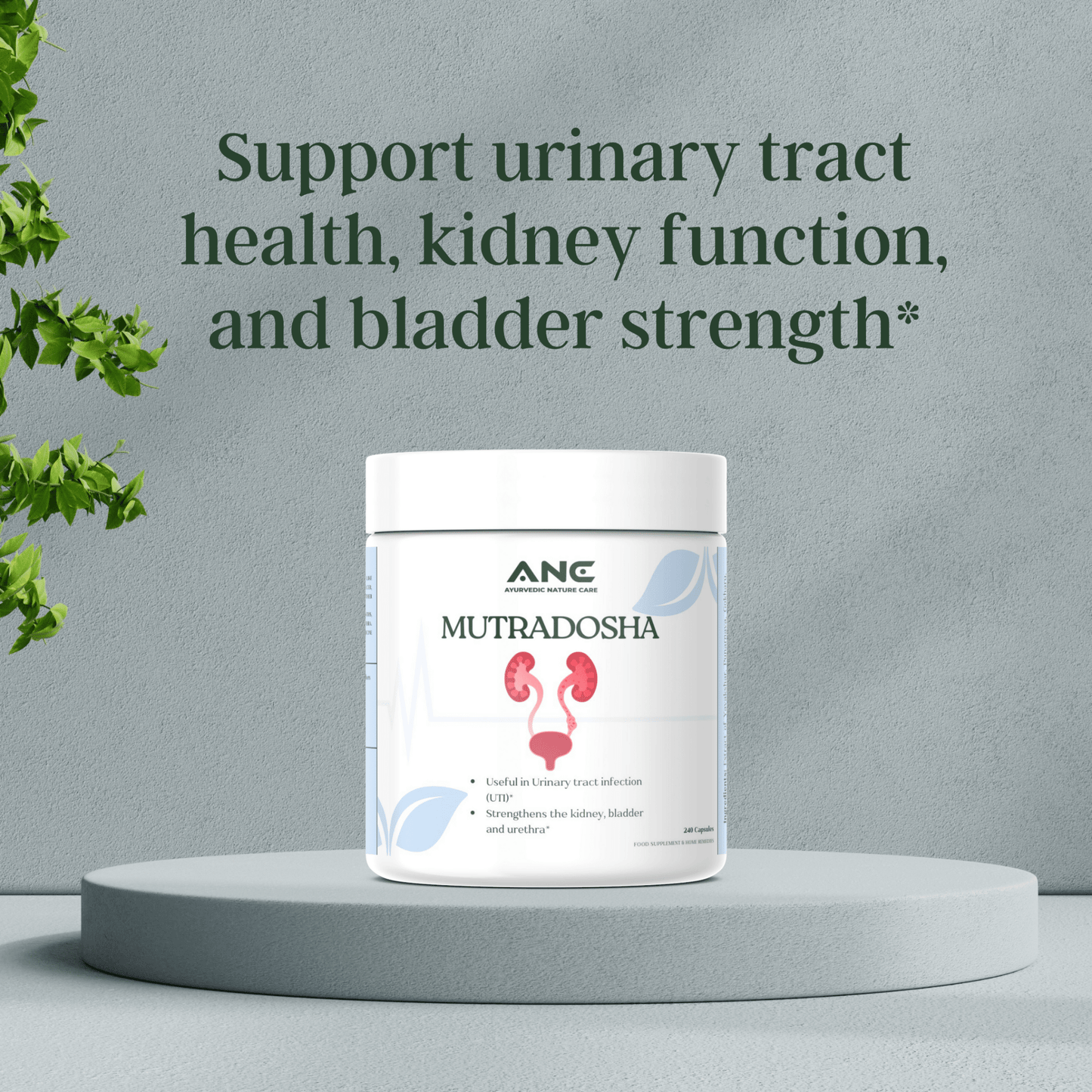 Mutradosha Capsules/Powder - Ayurvedic Support for Urinary Health (Solution for Urine Problems) - Ayurvedic Nature Care