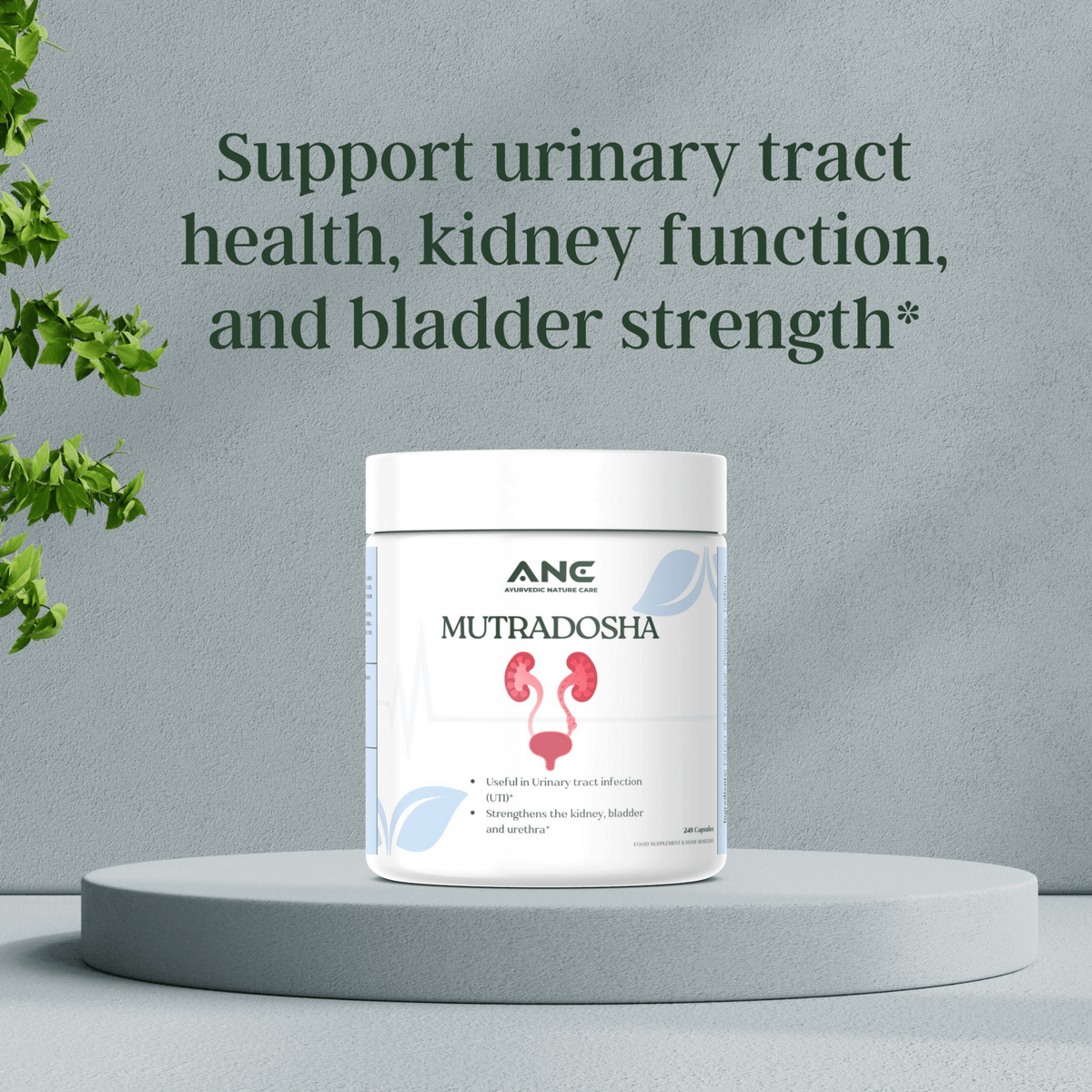 Mutradosha Capsules/Powder - Ayurvedic Support for Urinary Health (Solution for Urine Problems) - Ayurvedic Nature Care