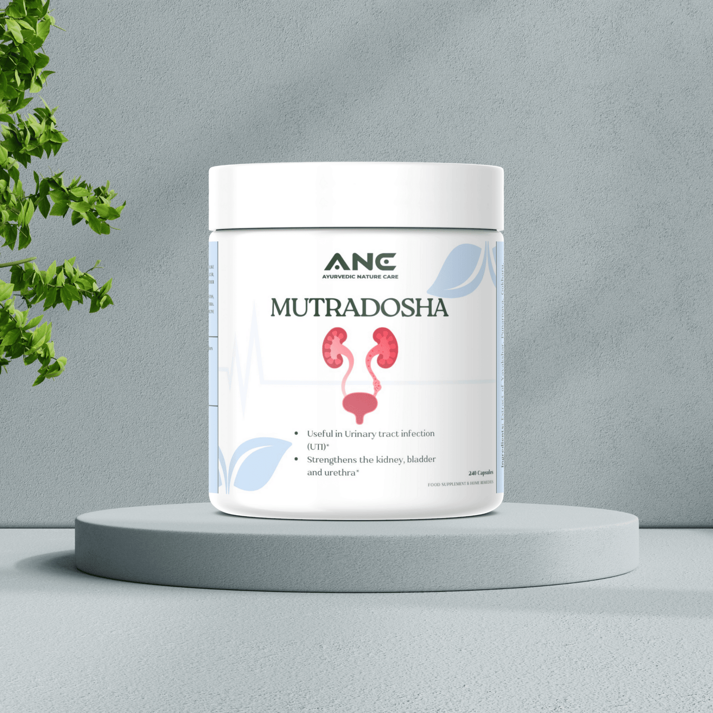 Mutradosha Capsules/Powder - Ayurvedic Support for Urinary Health (Solution for Urine Problems) - Ayurvedic Nature Care