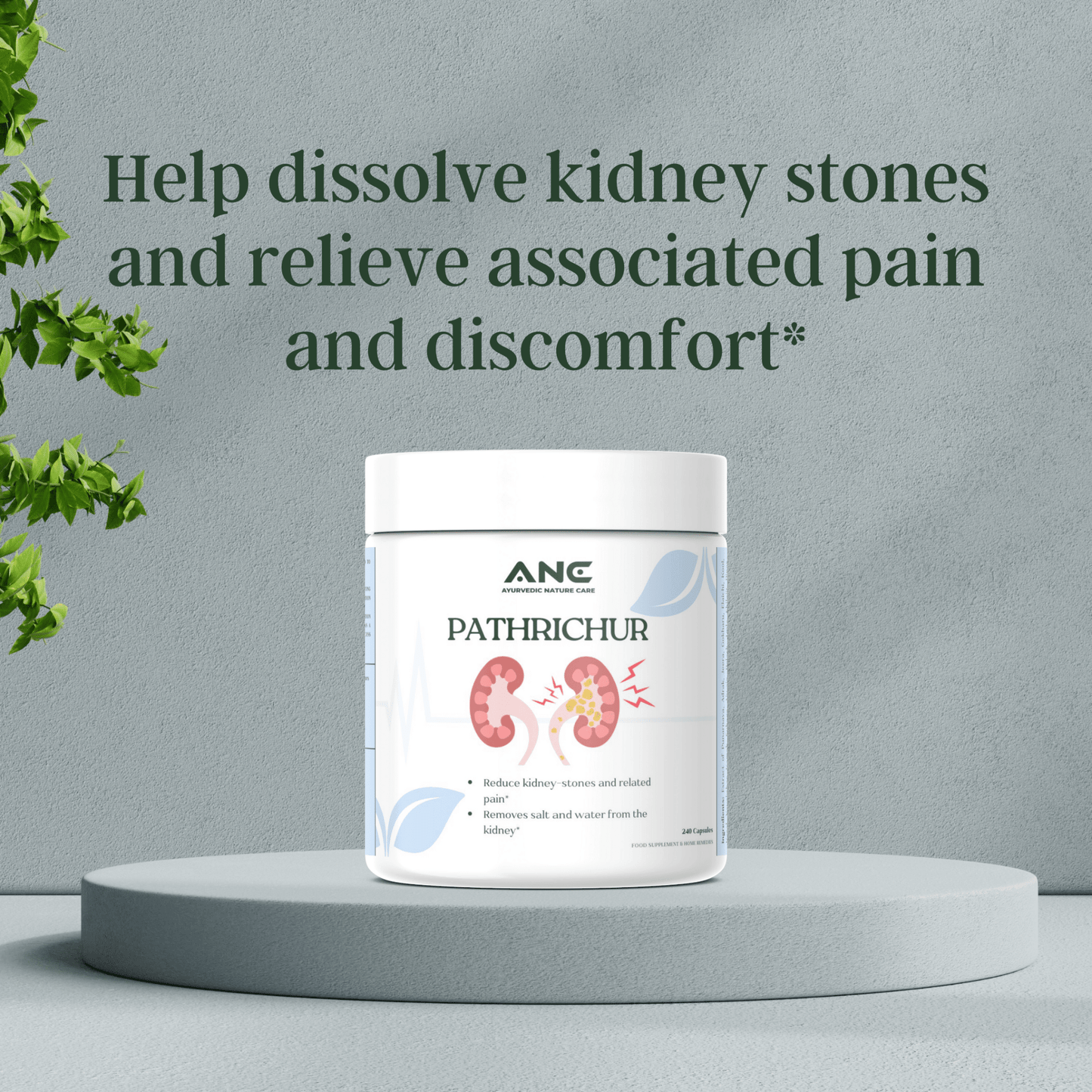 Pathrichur Capsules/Powder - Natural Kidney Stone Breaker & Urinary Health Support - Ayurvedic Nature Care