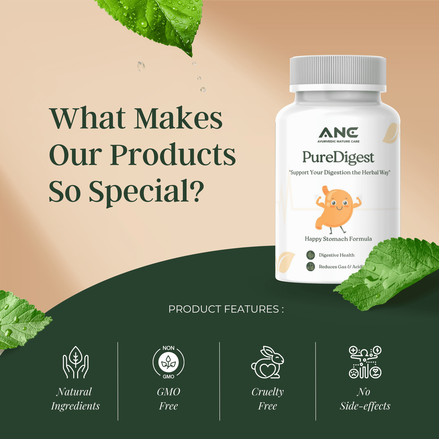 PureDigest (Supachak) Capsules - Natural Relief from Digestive Problems - Ayurvedic Nature Care