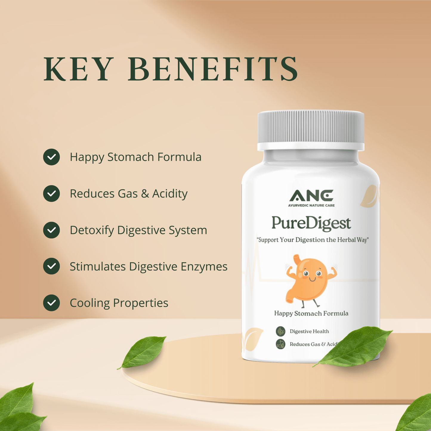 PureDigest (Supachak) Capsules - Natural Relief from Digestive Problems - Ayurvedic Nature Care