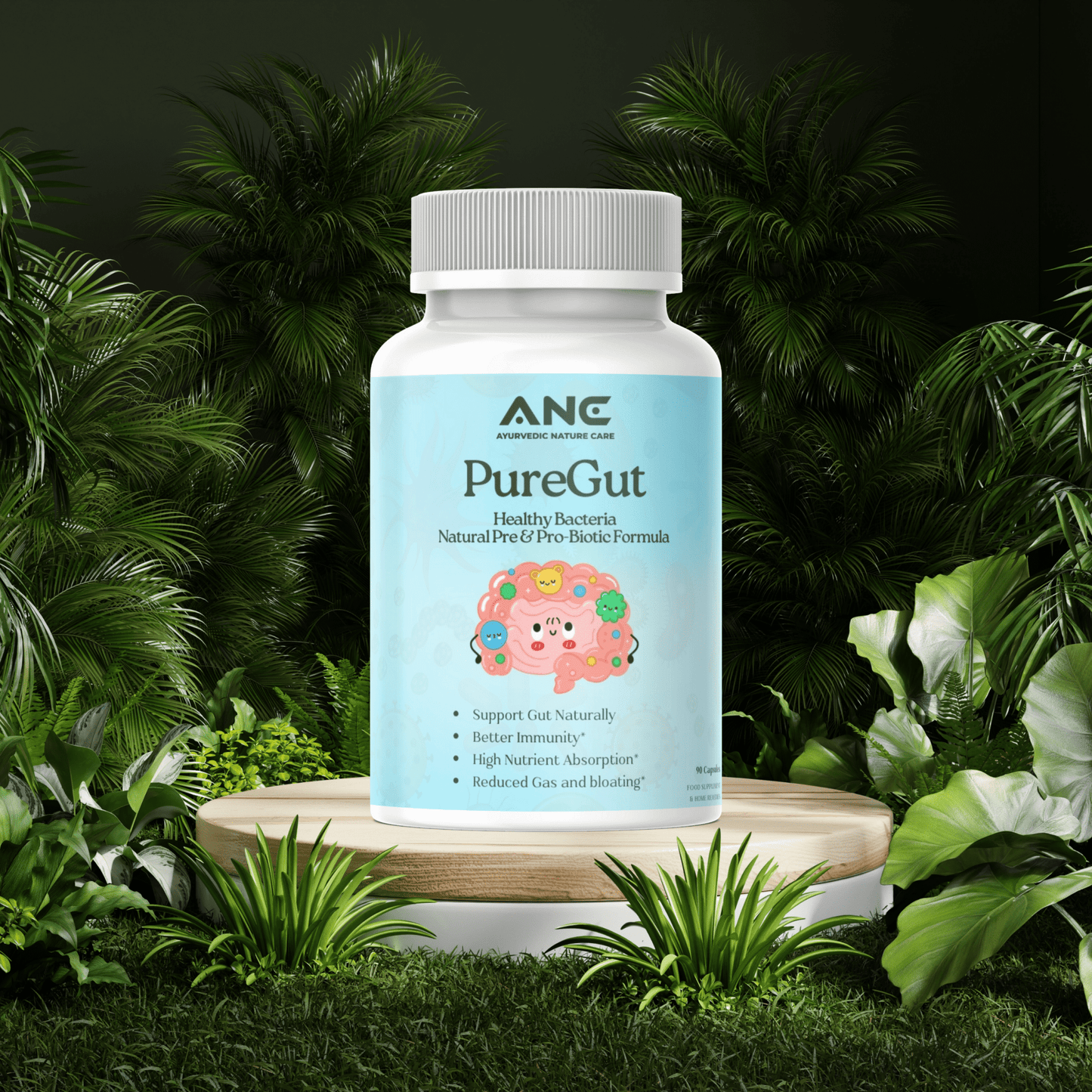 PureGut Capsules - Healthy Bacteria Extract - Natural Prebiotics & Probiotics - Ayurvedic Nature Care