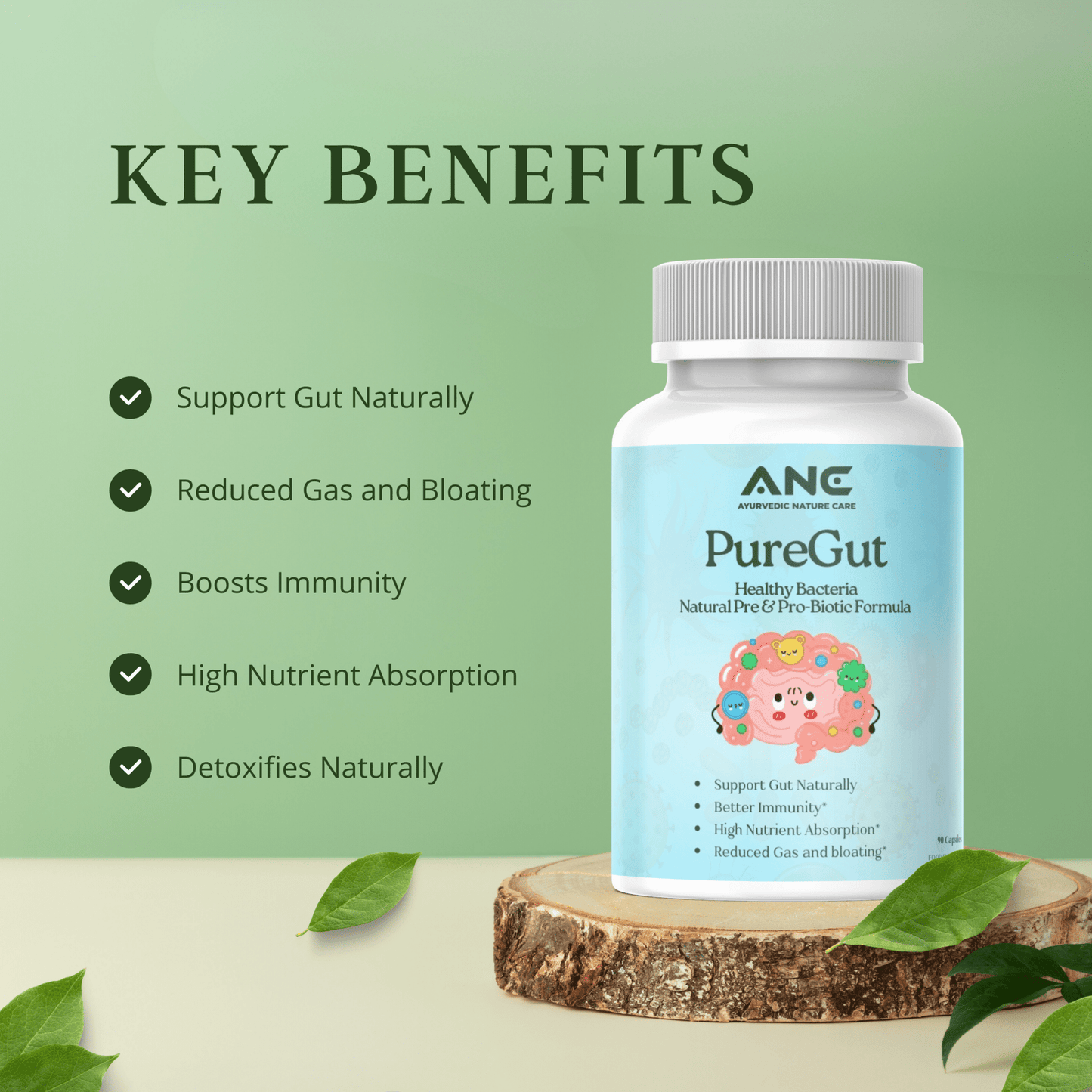 PureGut Capsules - Healthy Bacteria Extract - Natural Prebiotics & Probiotics - Ayurvedic Nature Care