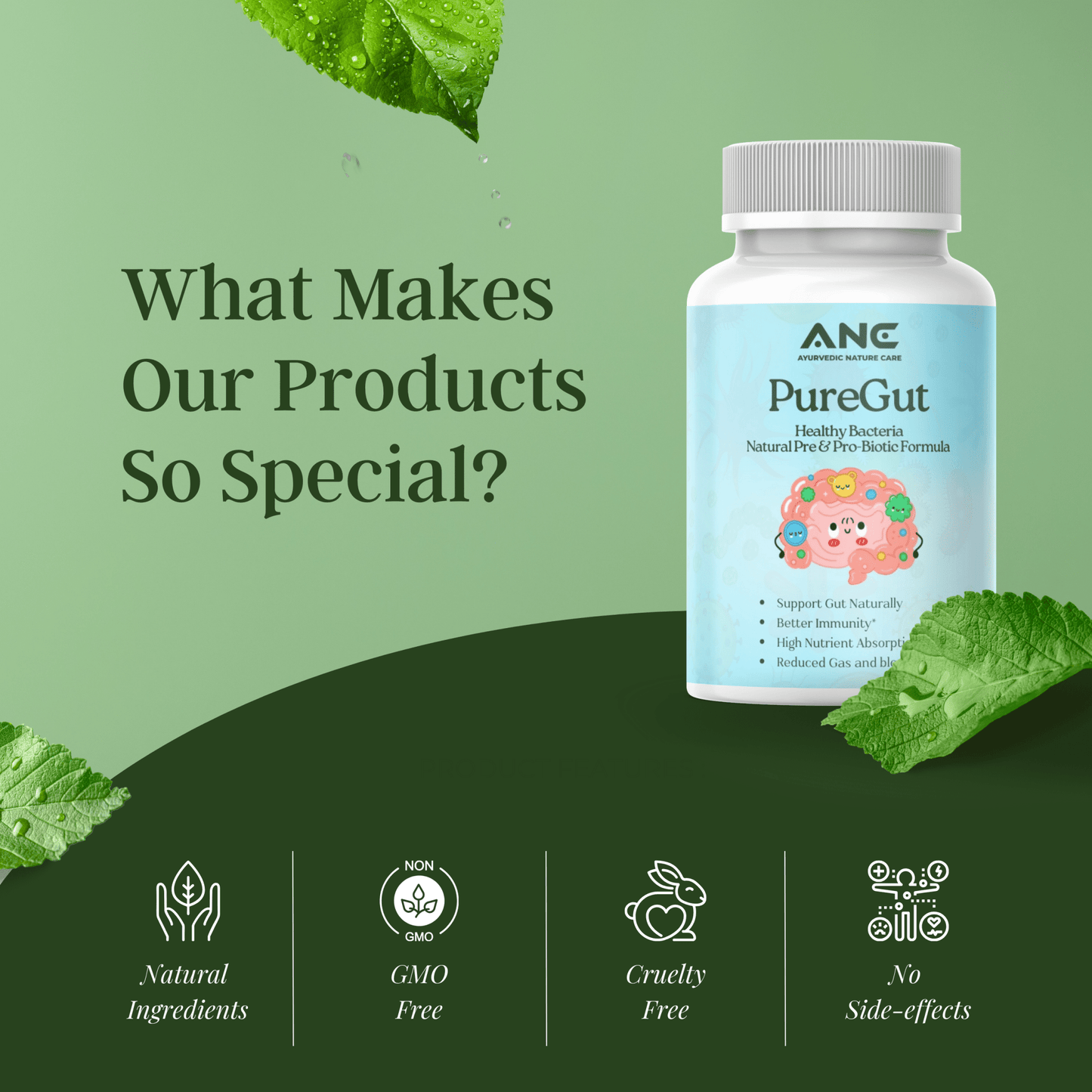 PureGut Capsules - Healthy Bacteria Extract - Natural Prebiotics & Probiotics - Ayurvedic Nature Care