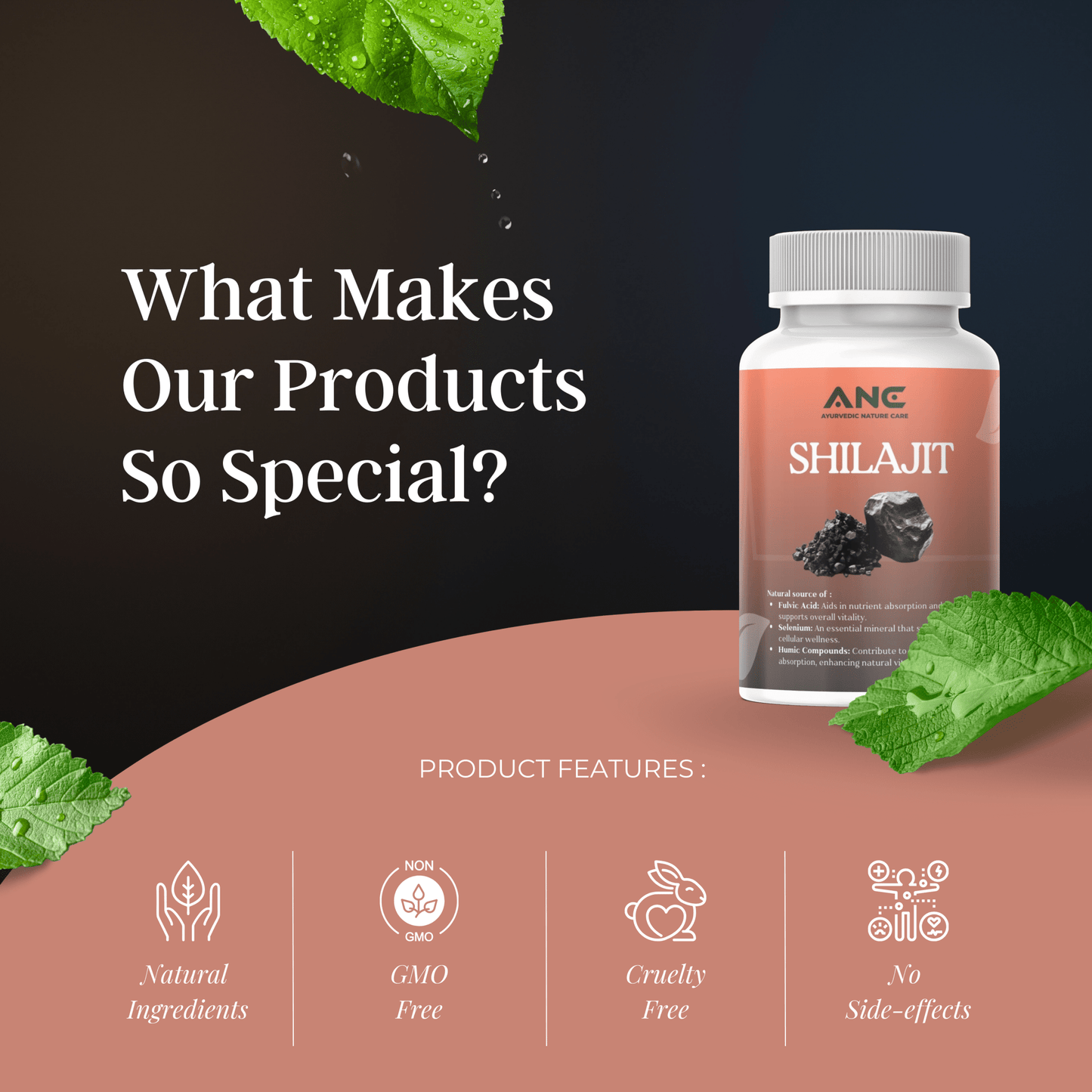 Shilajit Capsules - for Vitality, Stamina and Strength - Ayurvedic Nature Care