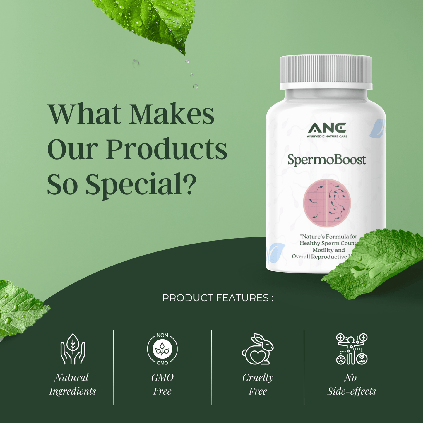 SpermoBoost Capsules - Helps to Increase the Sperm Counts and Motility - Ayurvedic Nature Care