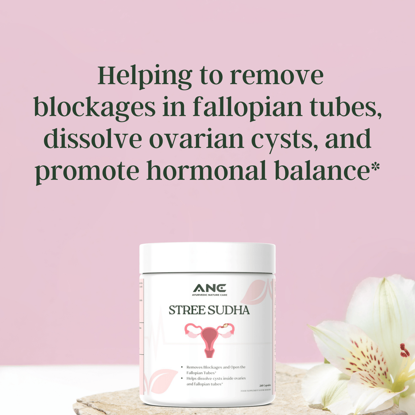 Stree Sudha – Natural Herbal Support for Reproductive Health & Fertility (Removes Blockages and Open the Fallopian Tubes) - Ayurvedic Nature Care