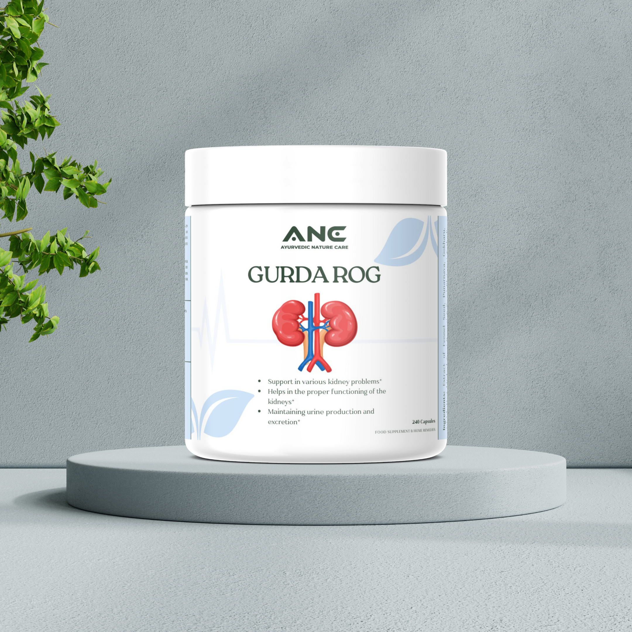 Gurda Rog Capsules/Powder - Optimize Kidney Function & Urinary Health Naturally (Kidney Care)