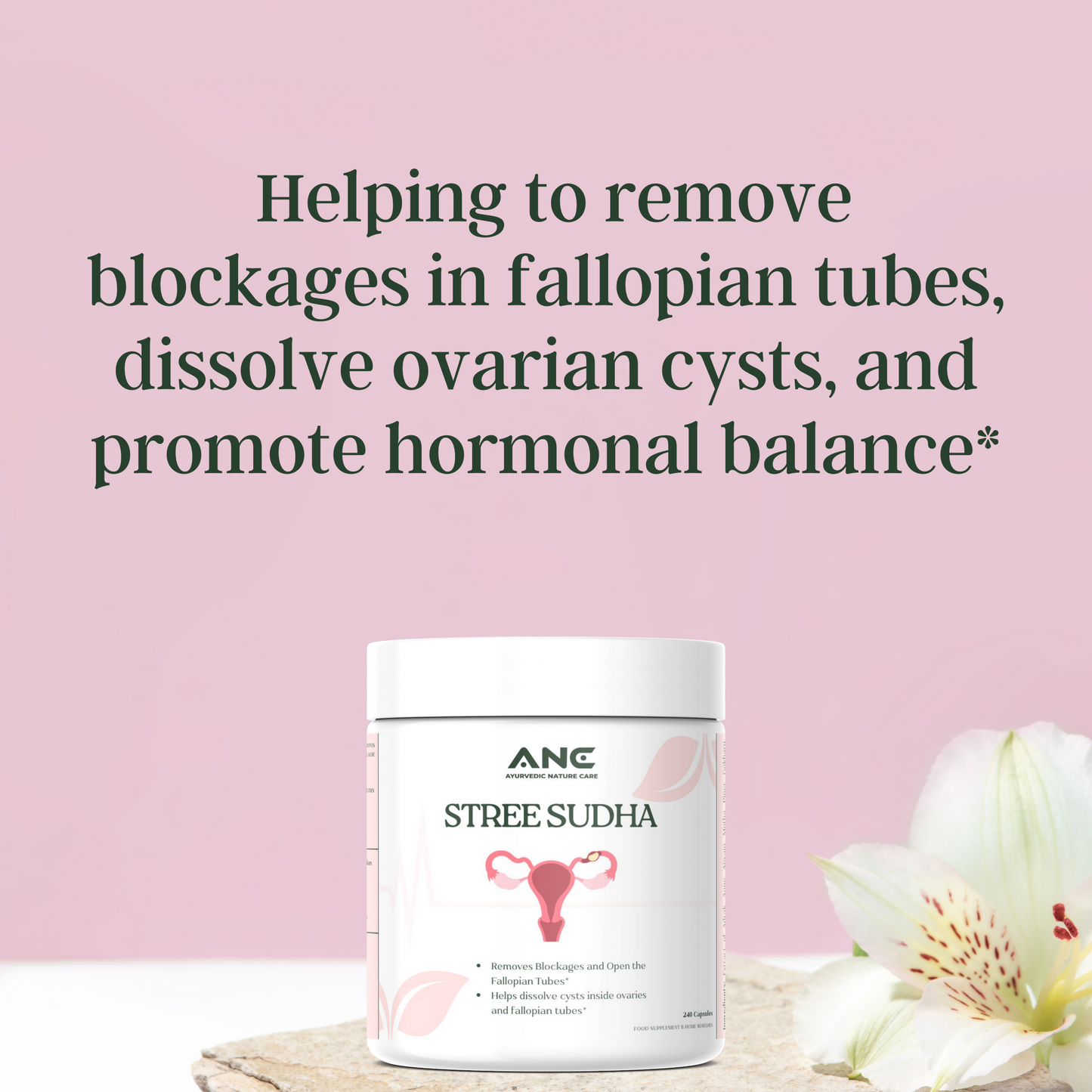 Stree Sudha – Natural Herbal Support for Reproductive Health & Fertility (Removes Blockages and Open the Fallopian Tubes)