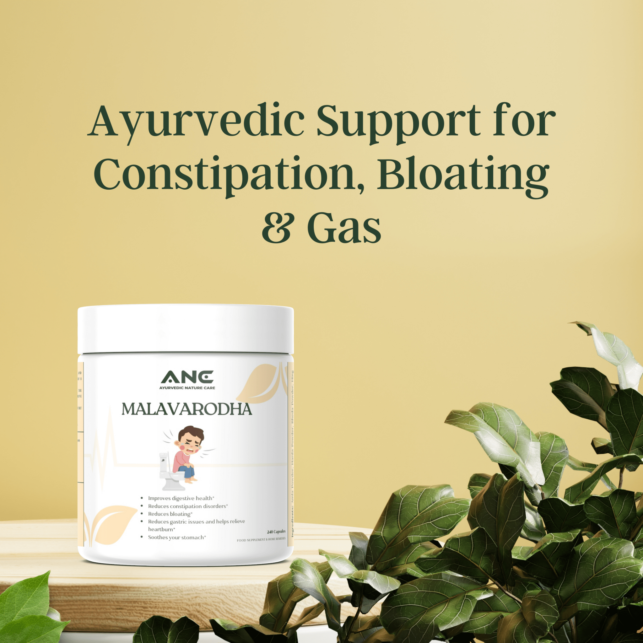 LEXIVA- Malavarodha Capsules/Powder – To help reduce Constipation, Blo ...