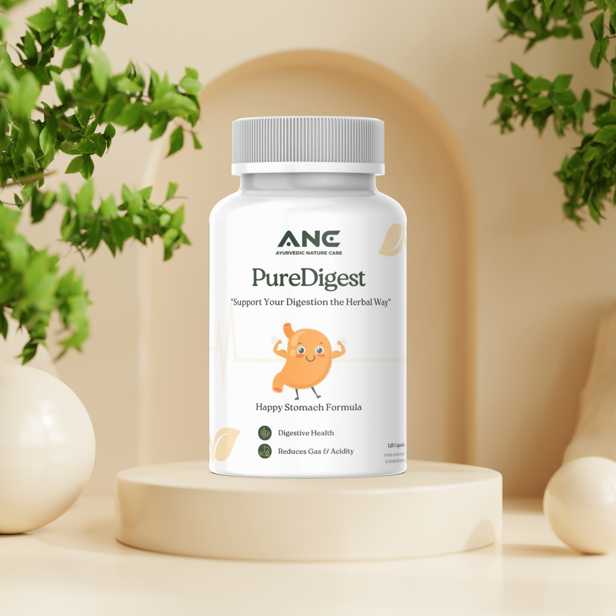 PureDigest (Supachak) Capsules - Natural Relief from Digestive Problems - Ayurvedic Nature Care