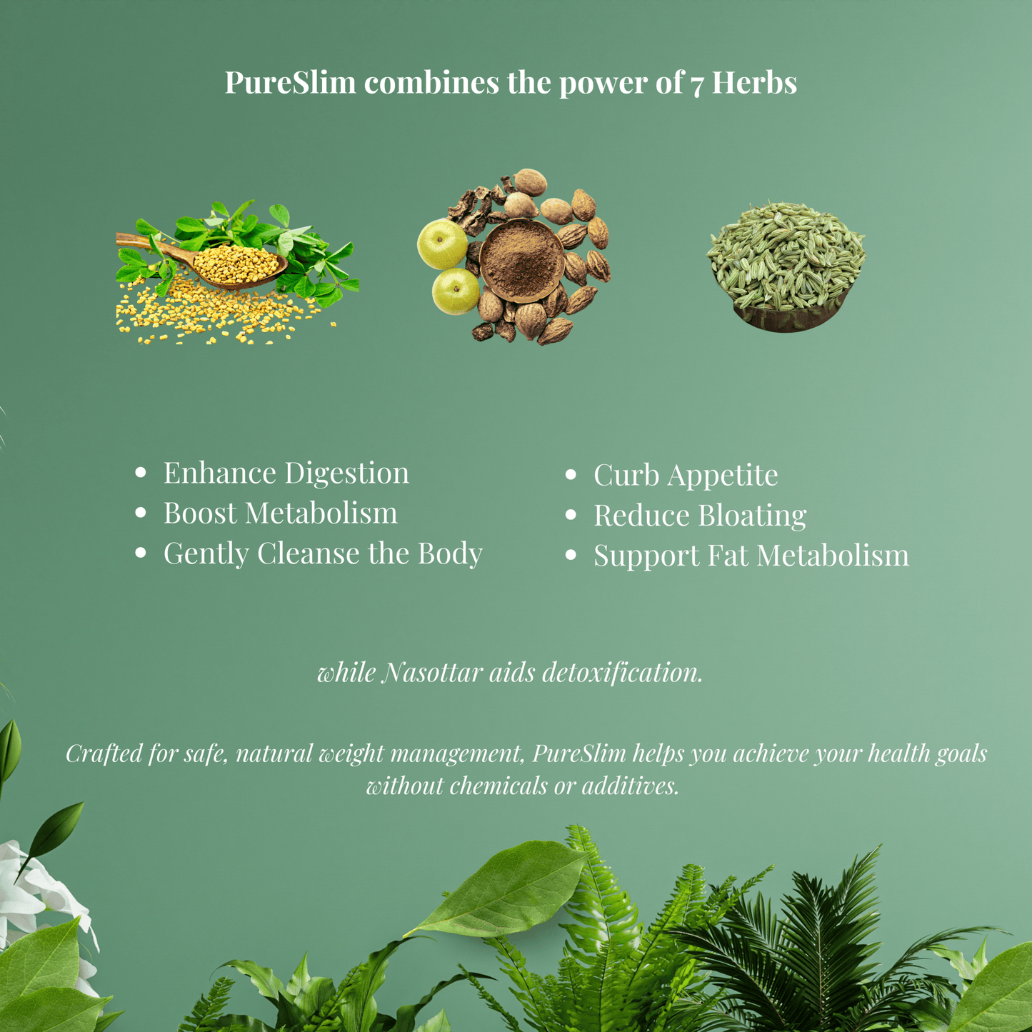 PureSlim Weight Loss Capsule - Helps with Weight Loss and Fat Reduction - Ayurvedic Nature Care