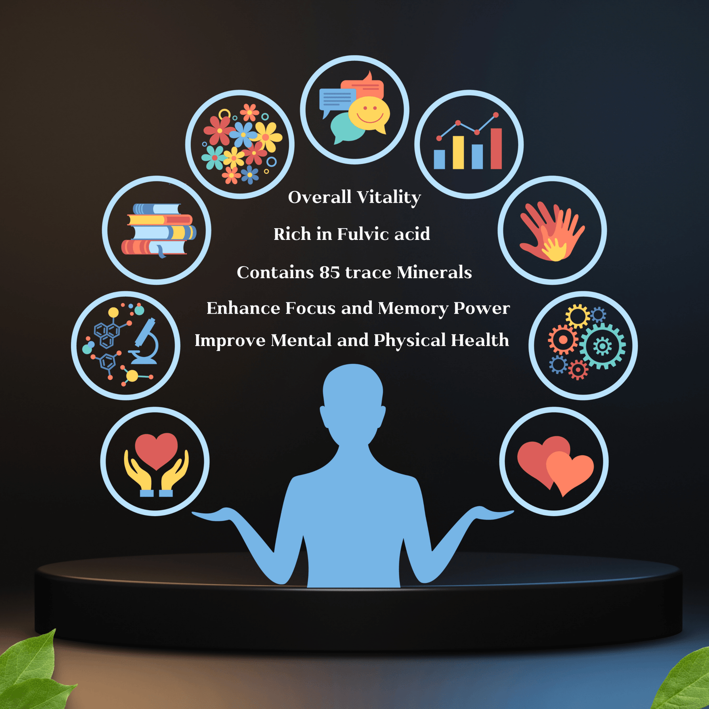 Shilajit Capsules - for Vitality, Stamina and Strength - Ayurvedic Nature Care